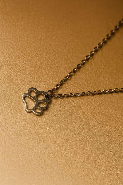 <h3>Collar en Plata</h3>  <b>LOYAL</b>
