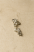 <h3>Pendientes 925 Plata de Ley</h3><b>STARLIGHT</b>
